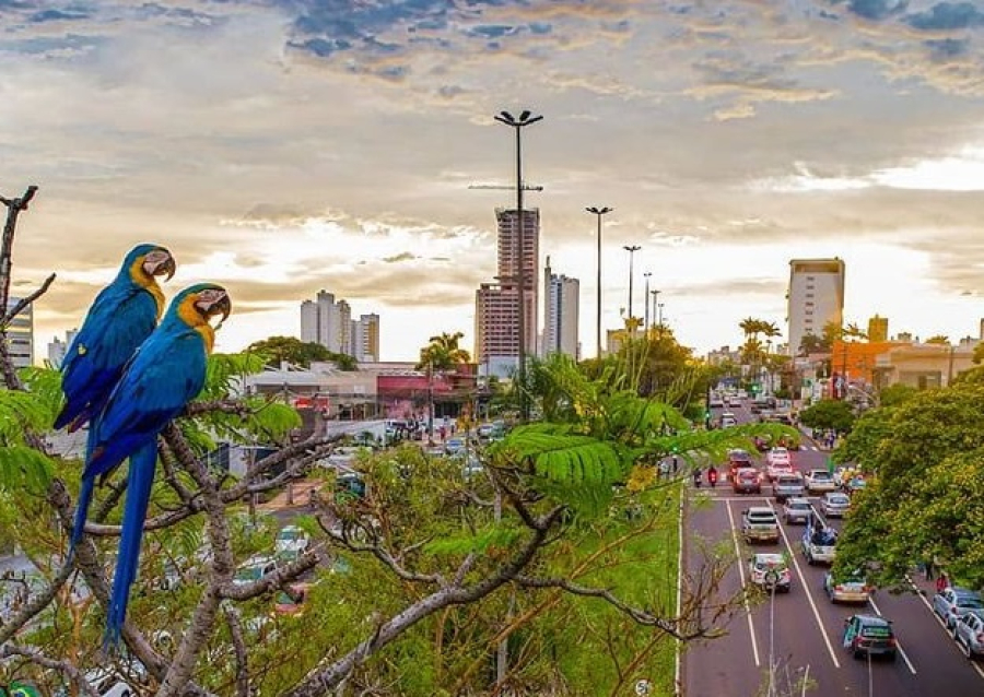 Lula vem e Campo Grande deve receber mais de 3 mil visitantes de 130 países na COP15