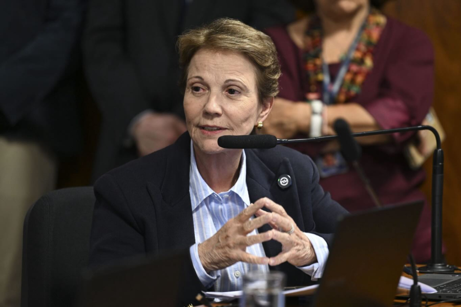 Preferida do Centrão para ser vice, Tereza Cristina enfrenta resistência de aliados de Flávio