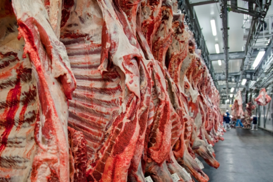 VETO DA UNIÃO EUROPEIA À CARNE BRASILEIRA REVELA BARREIRAS COMERCIAIS SELETIVAS E ARBITRÁRIAS